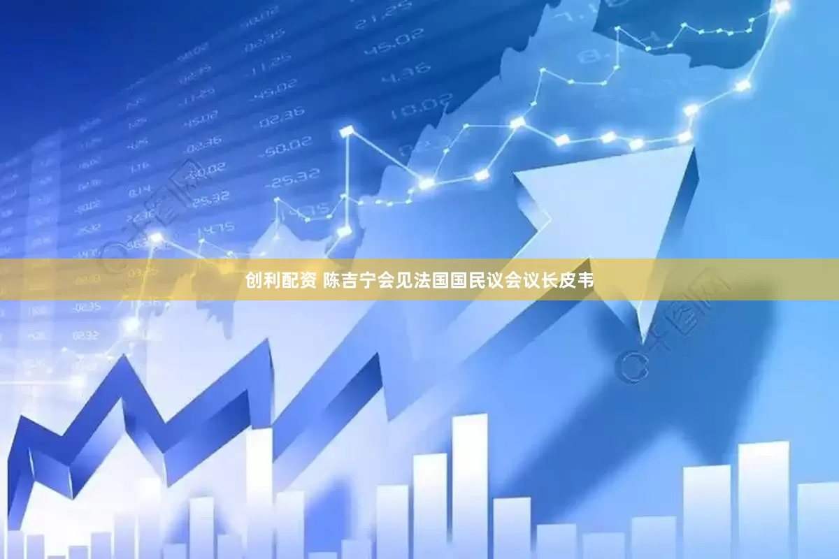 创利配资 陈吉宁会见法国国民议会议长皮韦