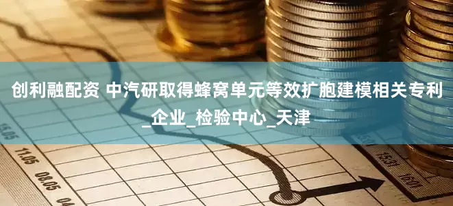 创利融配资 中汽研取得蜂窝单元等效扩胞建模相关专利_企业_检验中心_天津